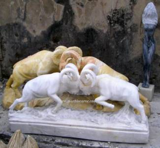 Marble Sheep Ram Statue carving Sculpture Garden carving photo image